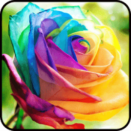 ikon Fancy Colorful Wallpaper