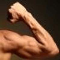 Get Bigger Arms In 4 Weeks