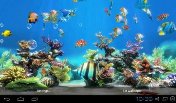 Koi Fish Live Wallpaper Free स्क्रीनशॉट 1