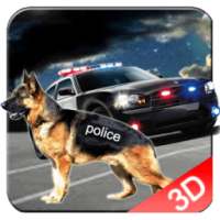 Police Dog Chase; Thief