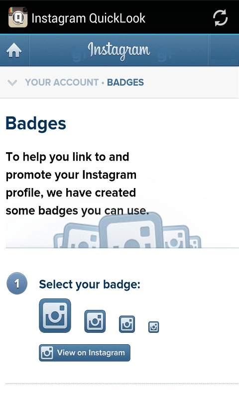 Instagram QuickLook screenshot 2