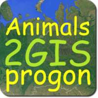 Учет животных прогоном on 9Apps
