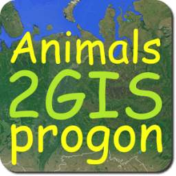 anim2GISpr 1.0
