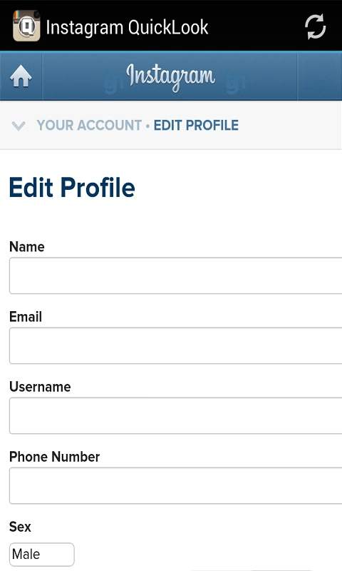 Instagram QuickLook screenshot 3