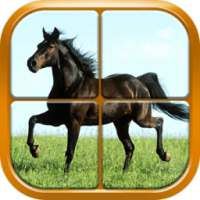 Horse Puzzle Games for Girls