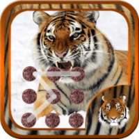 cheetah kunci layar pola