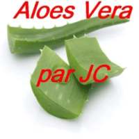 Aloe Vera on 9Apps