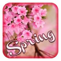 Spring Theme