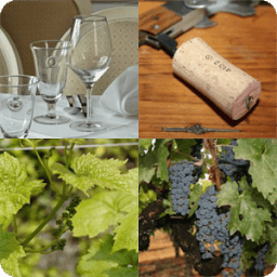 ikon Four Scenes One Word