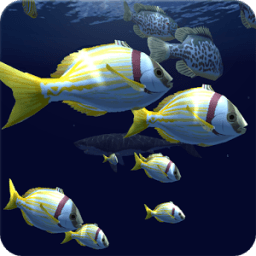 Fish Schooling VR иконка