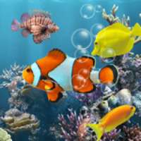 Wallpaper NEMO aquarium on 9Apps