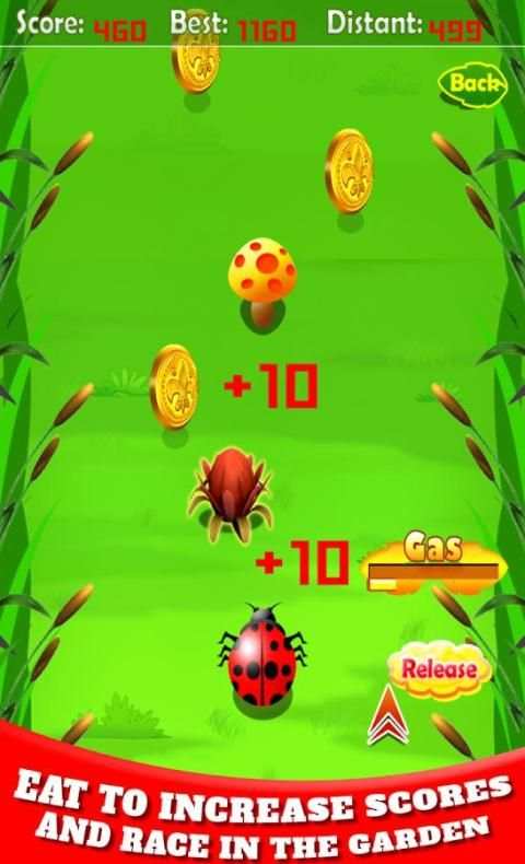 Bug Racing screenshot 5
