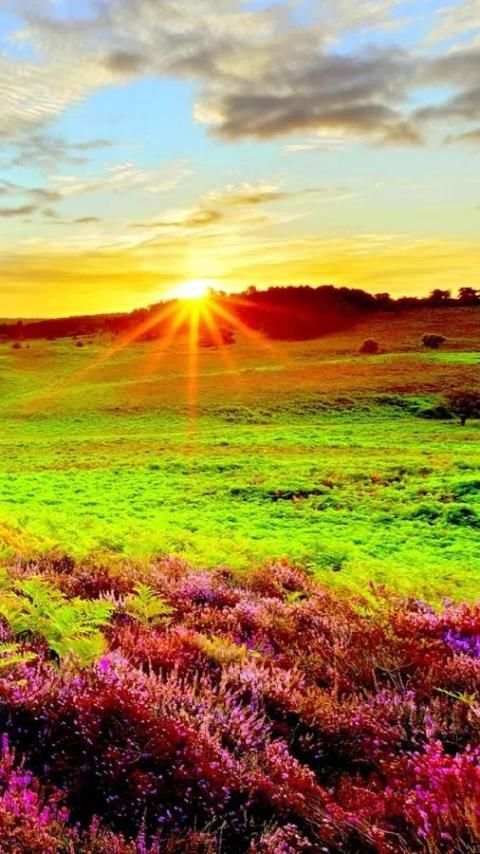 Sunrise Wallpapers screenshot 3