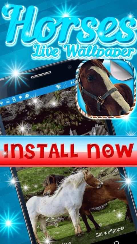Horses Live Wallpaper screenshot 3