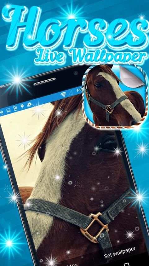 Horses Live Wallpaper screenshot 1