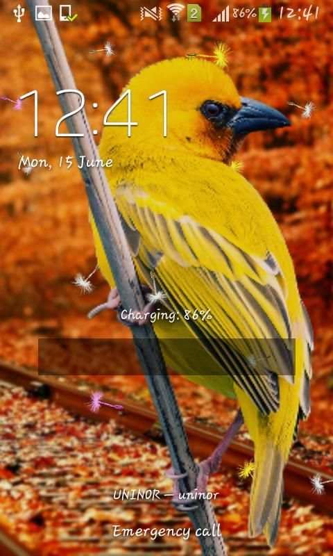 3D Birds Live Wallpaper for S5 screenshot 3