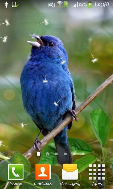 3D Birds Live Wallpaper for S5 screenshot 4