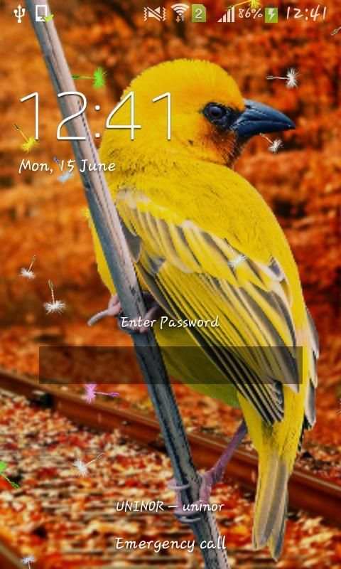 3D Birds Live Wallpaper for S5 screenshot 5