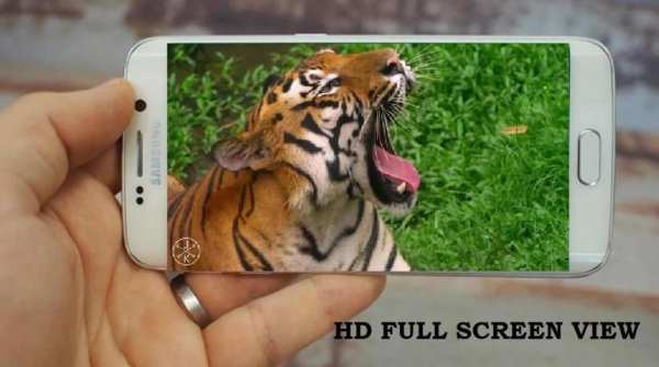 MP4 AVI 3GP HD Video Player स्क्रीनशॉट 5