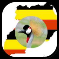 Tour Uganda on 9Apps