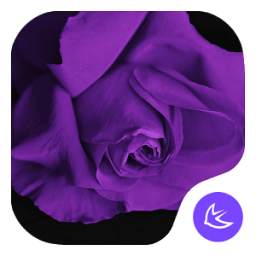 Purple feelings theme for APUS