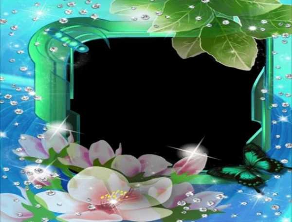 Photo Frames Butterfly screenshot 3