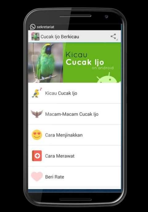 Cucak Ijo Berkicau screenshot 7