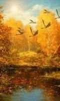 Flying birds live wallpaper screenshot 2