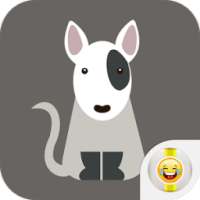 Puppy Bull Terrier Poodle on 9Apps