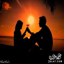 Love Songs (without Net) иконка