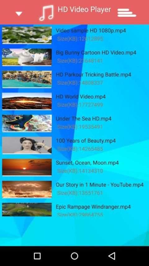 Video Player HD Pro स्क्रीनशॉट 2