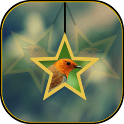 My Star Photo Live Wallpaper आइकन