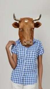 Animal Face Photo Maker 1 تصوير الشاشة