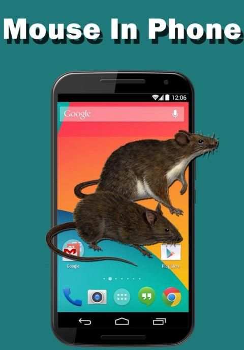 Mouse on Screen - funny joke screenshot 5