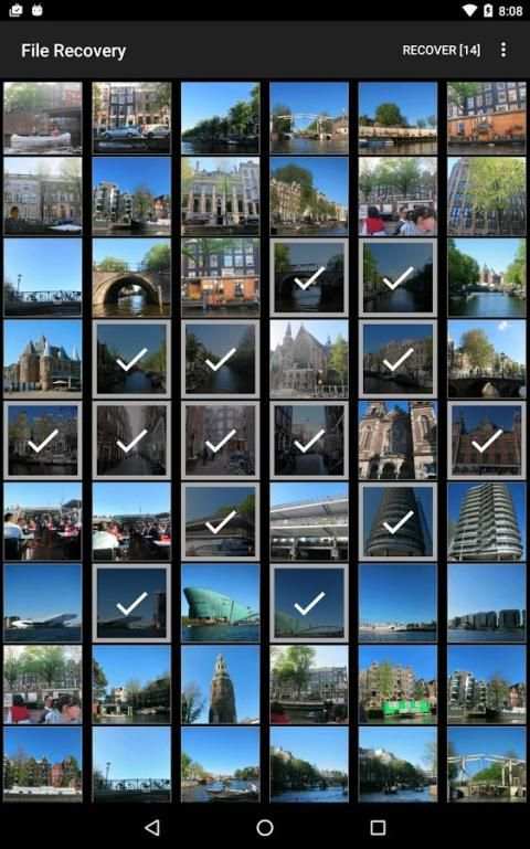 File Recovery - Photo & Video स्क्रीनशॉट 2