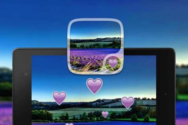 Purple Lavander Wallpaper screenshot 1