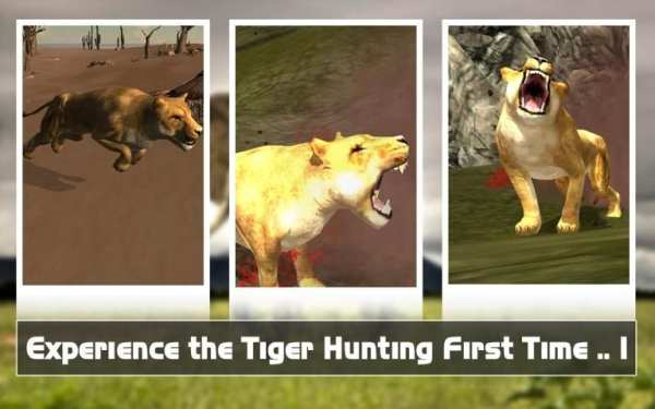 Tiger Hunting Sniper Tantangan screenshot 5