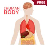 The Human Body - Free on 9Apps