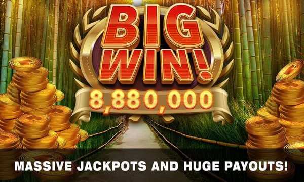 Slots Tiger King Casino Slots 12 تصوير الشاشة