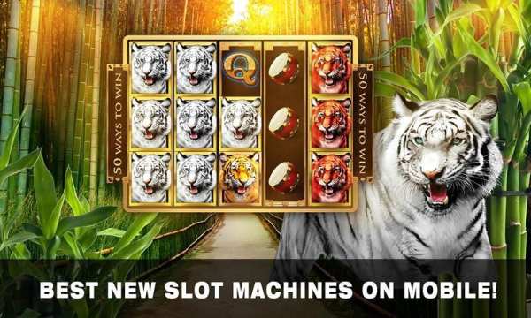 Slots Tiger King Casino Slots 14 تصوير الشاشة