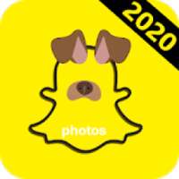 Free Photos & Filtered for Photos 2020