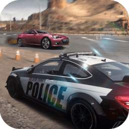 Police vs Crime Driver