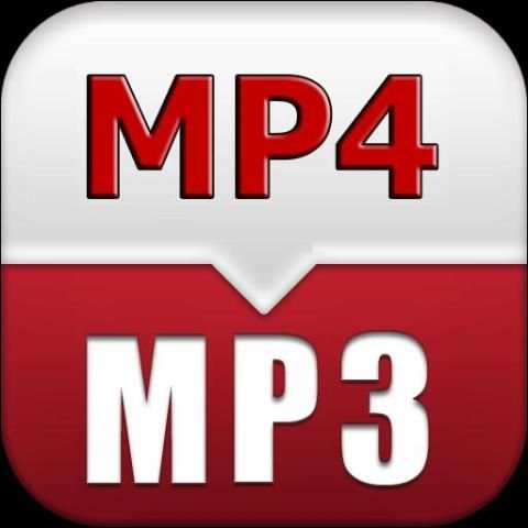 Mp3 & Mp4 convertir screenshot 1