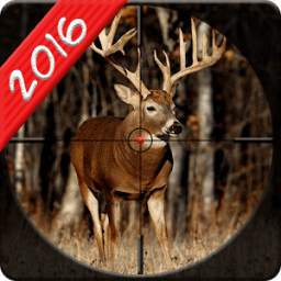 Deer Kill Sniper Hunt 2016