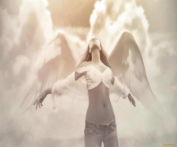 Angel Wallpapers 2 تصوير الشاشة
