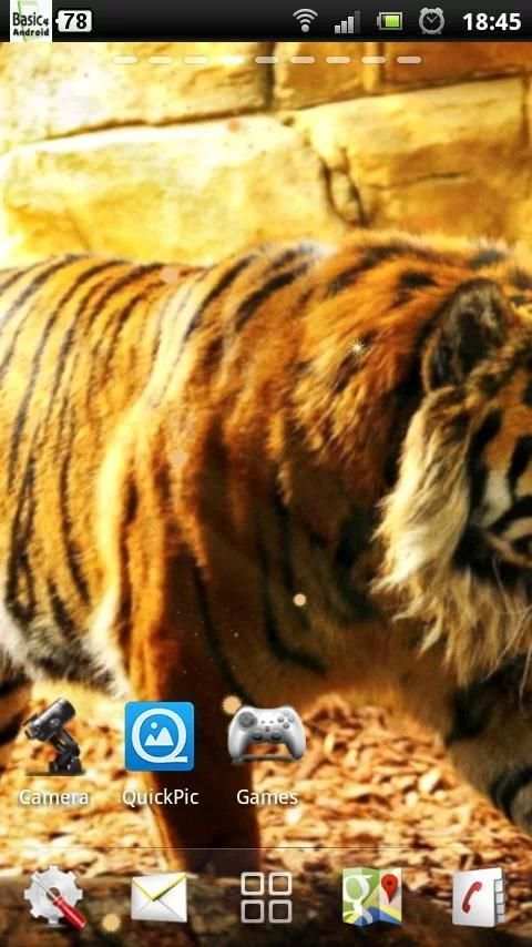 free live tiger wallpaper screenshot 1