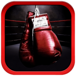 ikon Boxing Training and Techniques