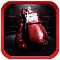 Boxing Training and Techniques