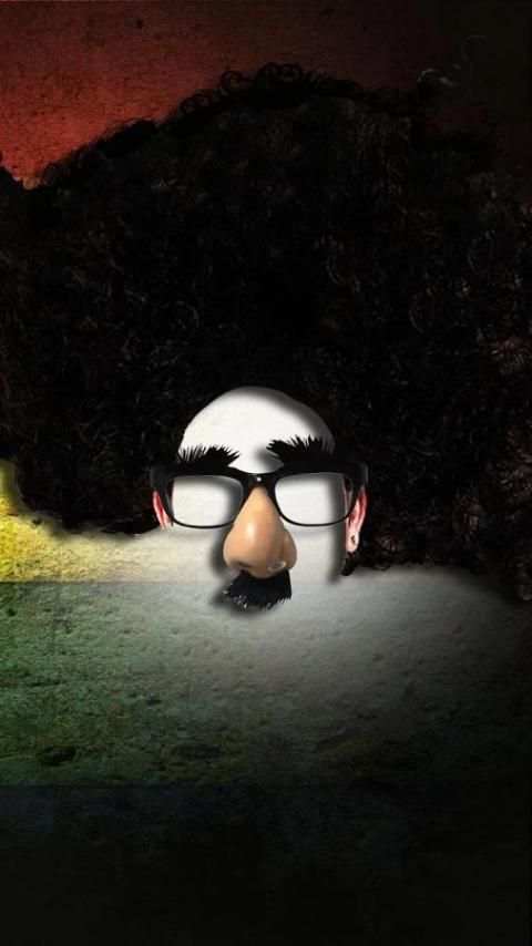 Funny Face Changer Pro screenshot 3