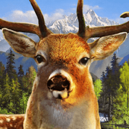 Jungle Deer Hunter 2016 иконка